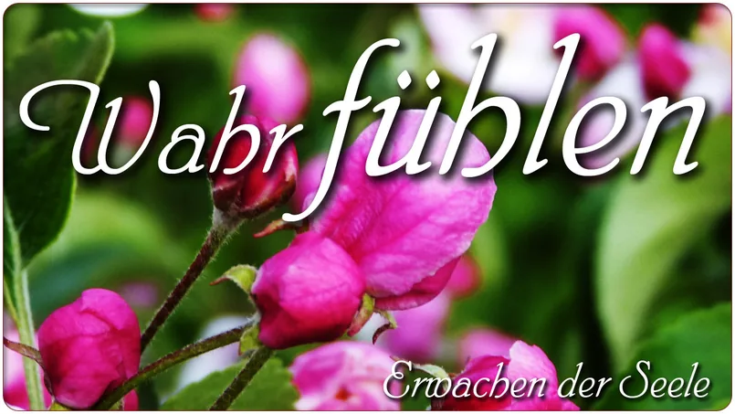 Wahr fühlen?