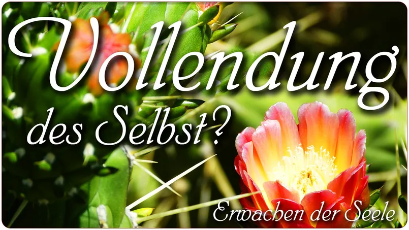 Vollendung des Selbst?