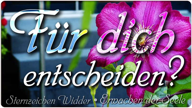 Für dich entscheiden?