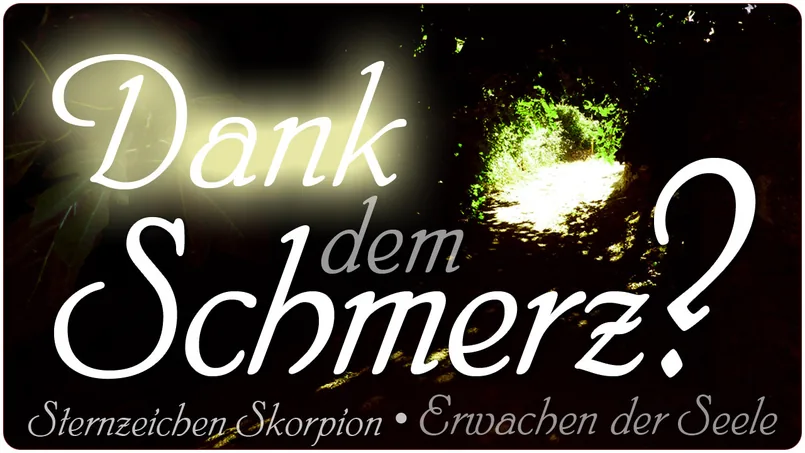 Dank dem Schmerz?