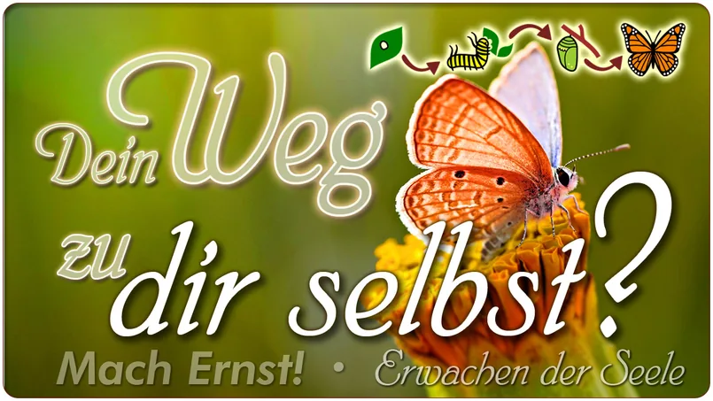 Dein Weg zu DIR SELBST