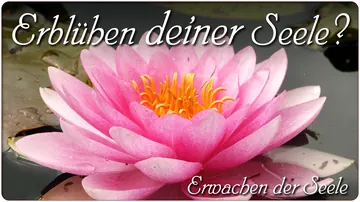 Erblühen deiner Seele?