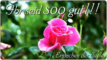Ihr seid sooo gut!