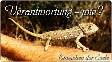 Verantwortung – Wie?