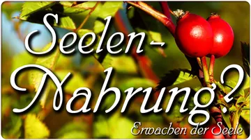 Seelen-Nahrung?