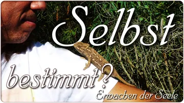 Selbst bestimmt?