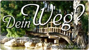 Dein Weg?