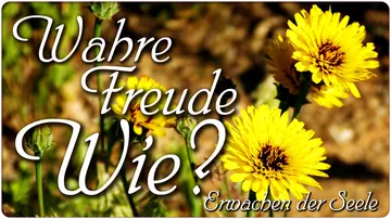 Wahre Freude… wie?