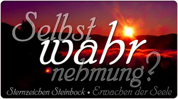Selbst wahr nehmung?