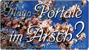 Maya-Portale im Arsch?