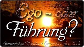 Ego- oder Führung?