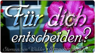 Für dich entscheiden?