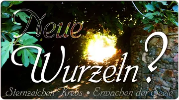 Neue Wurzeln?