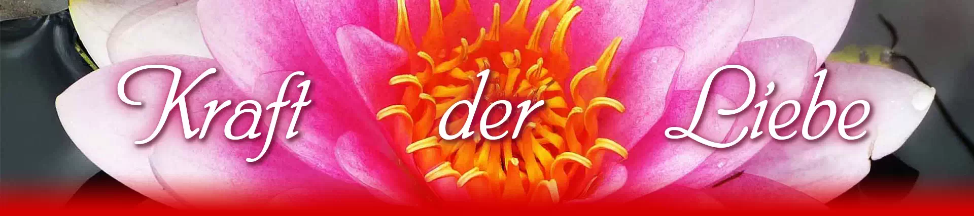 Echte Hilfe