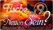 Fische und 9 im Neuen Sein?