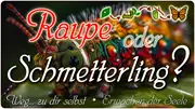 Raupe? Oder Schmetterling?
